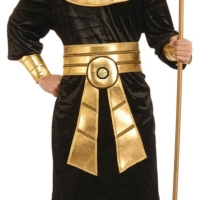alt="pharaoh costume"