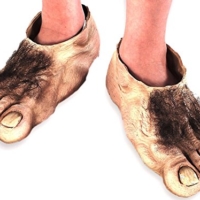 alt="hobbit's feet"