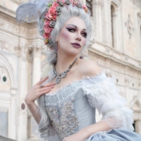 Marie Antoinette 18th Century Wig